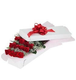 send 12 red roses in a box arrangement to dhaka, bangladesh