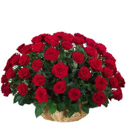 send ​50 red roses in a basket arrangement to dhaka, bangladesh