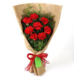 Send 8 Pcs. Red Color Carnations in Bouquet to Bangladesh