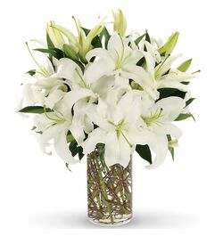 Send 10 Stalks White lilies with Green to Dhaka in Bangladesh