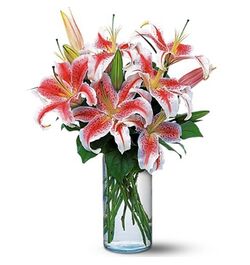 Send 6 Stalks Pink lilies in a Vase to Dhaka in Bangladesh