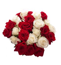 Send 24 Red and White Roses to Dhaka in Bangladesh