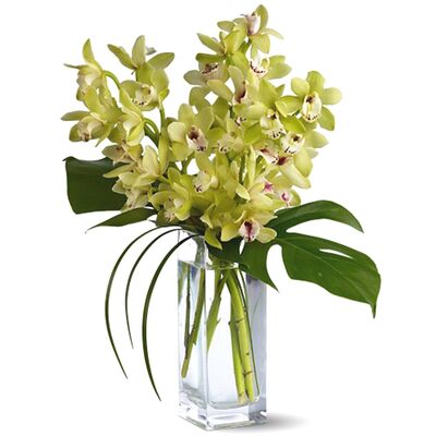 Delivery 10 Pcs. White Color Orchid in Vase to Bangladesh