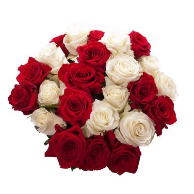 Send 24 Red and White Roses to Dhaka in Bangladesh
